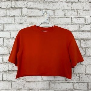Topshop Cropped T-Shirt / Crop Top